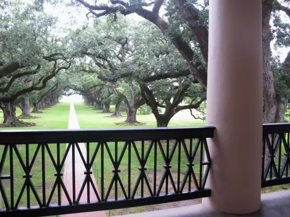 19th century plantation with stunning canopied path between oak trees, and a fascinating guided tour.
