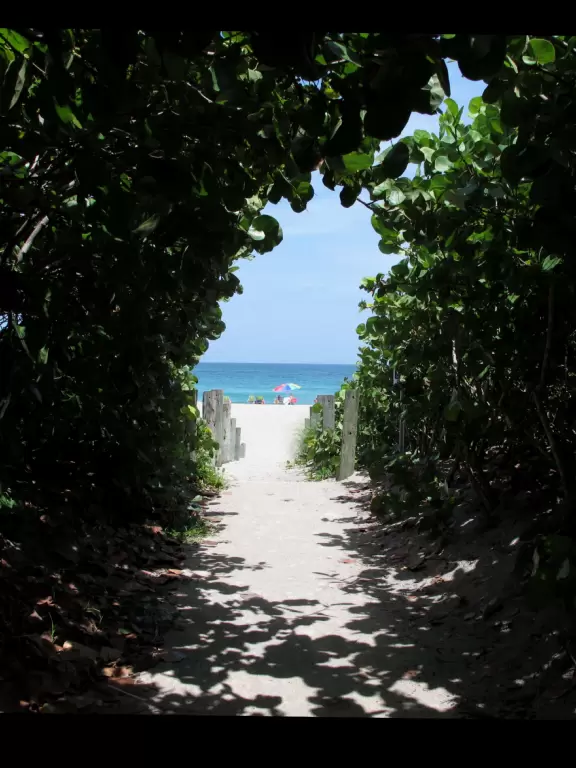 Exposed beach with gorgeous sea grape forest, sand volleyball courts, and basketball courts- a happening scene! Plus a concession snack area with a huge grass shack for shade.