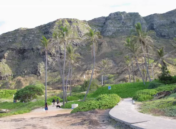 Drive to Makapuu (Makapu'u) Beach and you'll be stunned by the view!