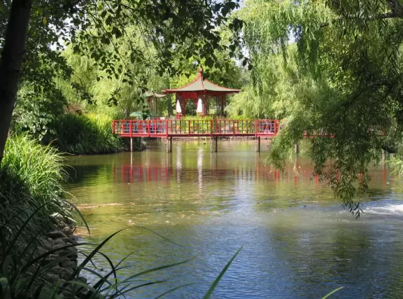 Pretty winery in a castle beside a lake where a swan and ducks swim.