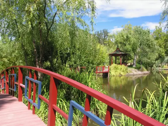 Pretty winery in a castle beside a lake where a swan and ducks swim.
