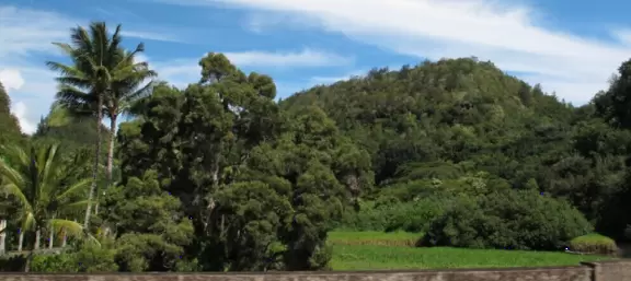 Waimea Valley is across the road from the beach.