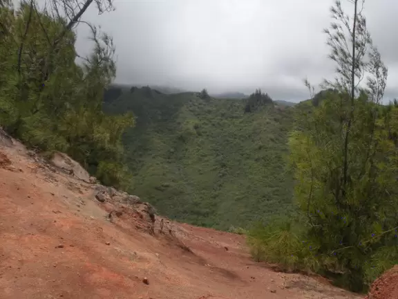 Hike along the top of a forested ridge, taking in sweeping views of ocean and valleys. Only for Hawaii residents and military personnel unfortunately.