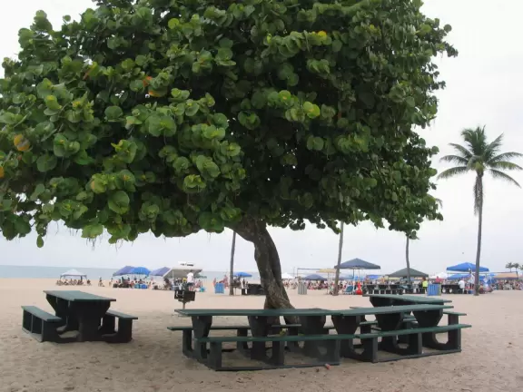 Thin strip of beach with shadeless boardwalk, white swirly wave wall, nice sand, unattractive people, and had-better-days condos.
