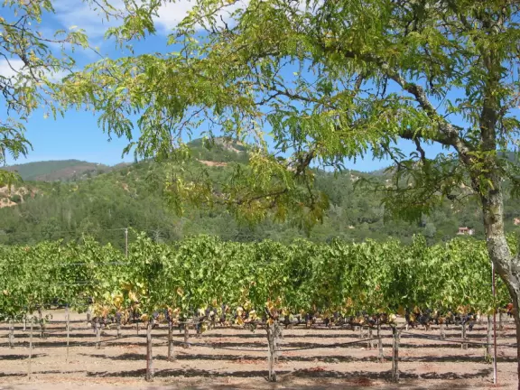 A day you and your kids will remember your entire life!