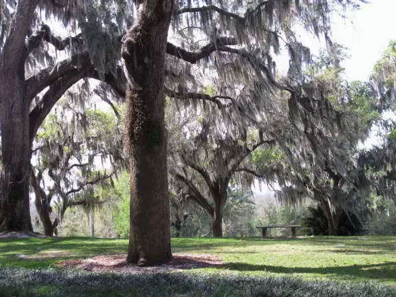 World-class garden with pink marble tower on a pond, giant lily pads, views from up high, and a magical wooded children's area.