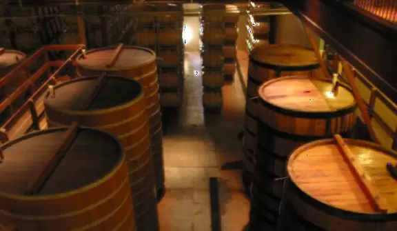 A day you and your kids will remember your entire life!