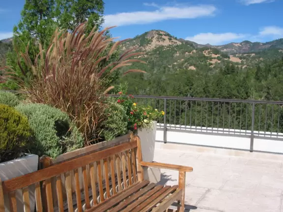 A day you and your kids will remember your entire life!