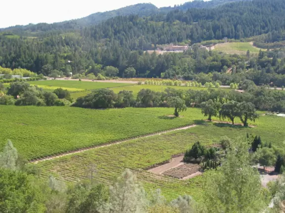 Sterling Vineyards, Calistoga