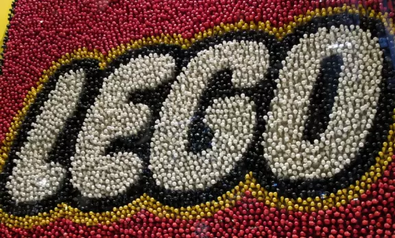 A wonderful experience! Skating in the open air, with gorgeous sights all around you!